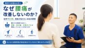なぜ腰痛が改善しないのか - 痛い場所だけをみている、姿勢・体のバランスの見落とし、日常動作のクセの3つの理由から骨盤・体の軸・日常のクセが関係していることを柏市で13年の院長が解説