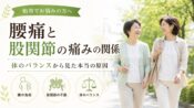 腰痛と股関節の痛みの関係 - 腰の負担、股関節の不調、体のバランスの3つの視点から体のバランスから見た本当の原因を柏市の整骨院院長が解説